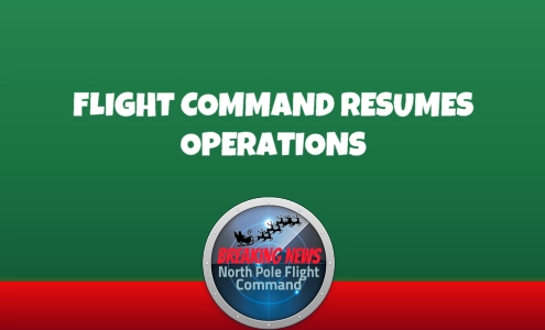 Flight Command Back in Business